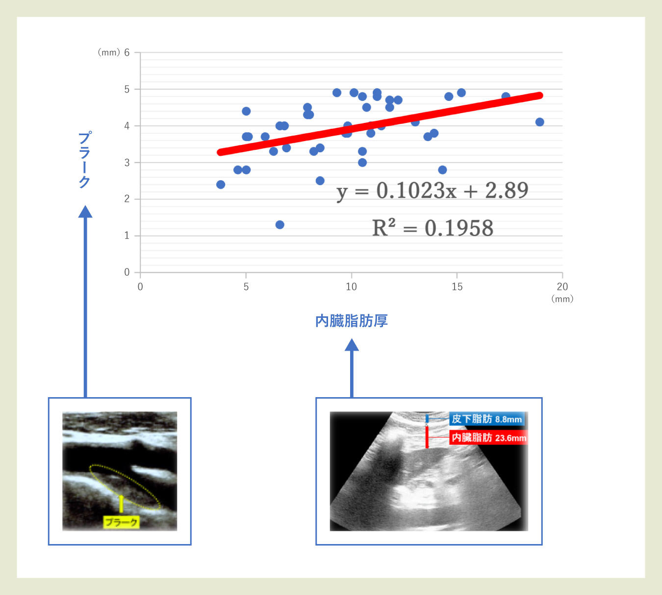 内臓脂肪厚と頸動脈のプラークの量のグラフ