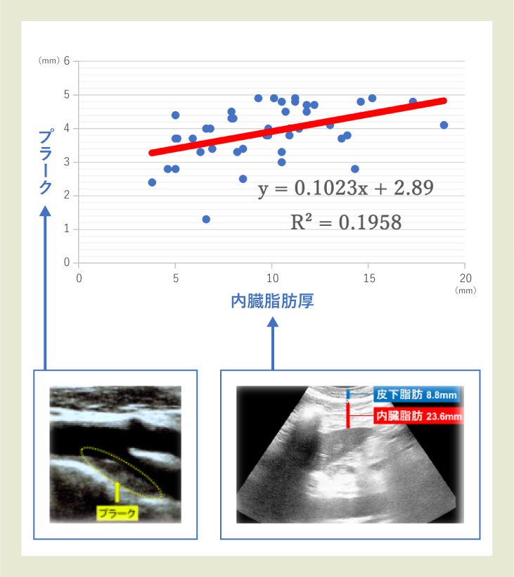 内臓脂肪厚と頸動脈のプラークの量のグラフ